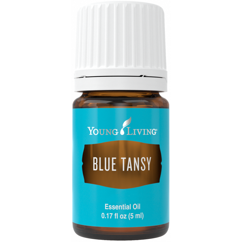 Olejek Wrotycz Marokański - Blue Tansy 5ml - Young Living Essential Oils