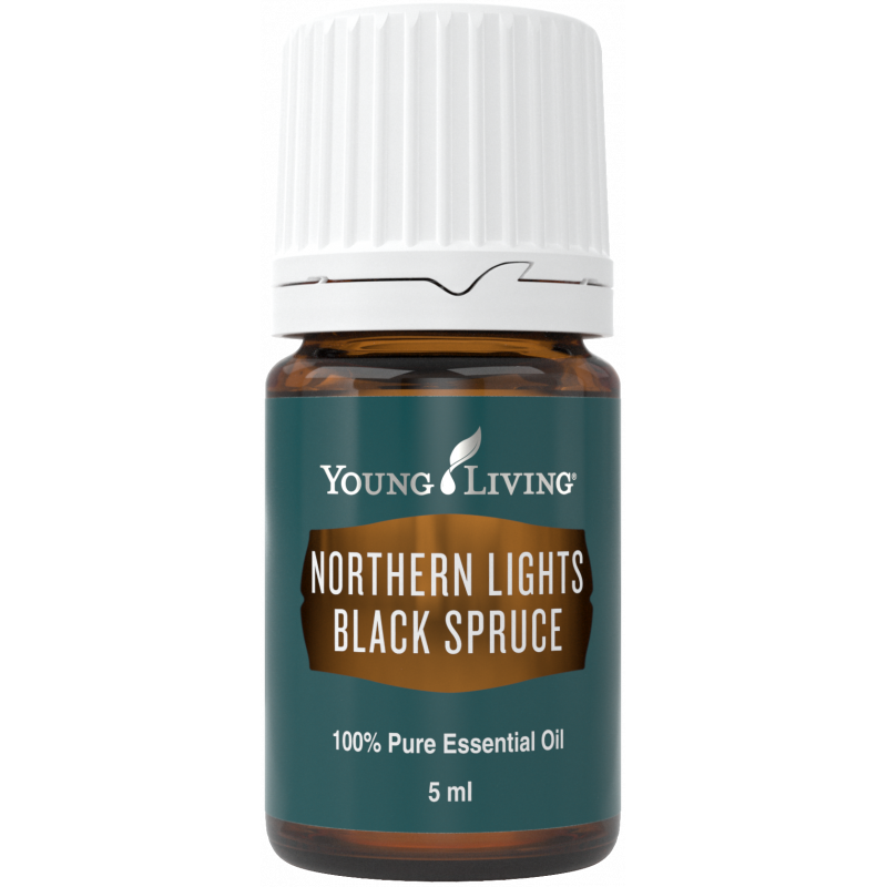 Olejek Świerk Czarny - Northern Lights Black Spruce 5ml - Young Living Essential Oils
