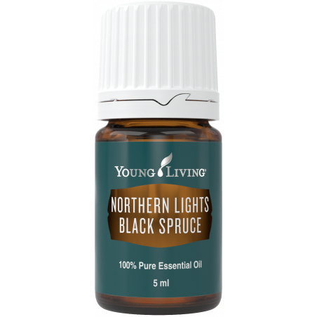 Olejek Świerk Czarny - Northern Lights Black Spruce 5ml - Young Living Essential Oils
