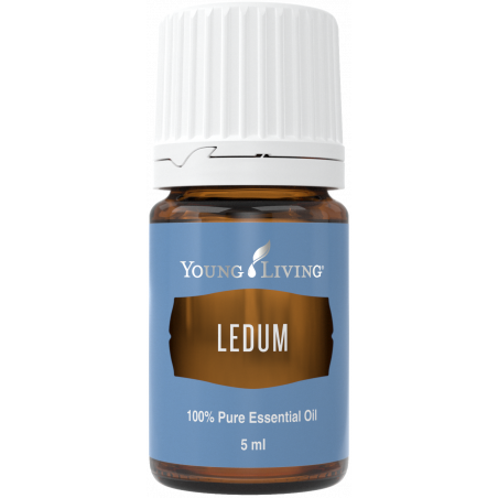 Olejek Ledum - Ledum Essential Oil 5ml Young Living