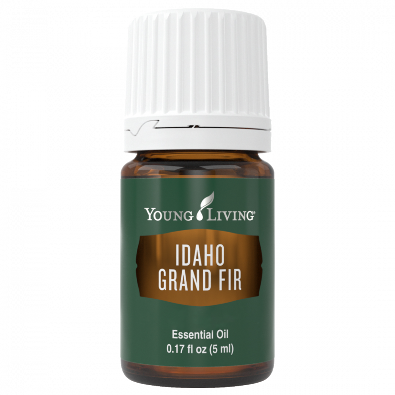 Olejek Jodła Olbrzymia / Idaho Grand Fir 5ml - Young Living Essential Oils