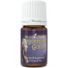Olejek Egyptian Gold Essential Oil 5ml /Inspiracja / Dobre samopoczucie - Young Living Essential Oils