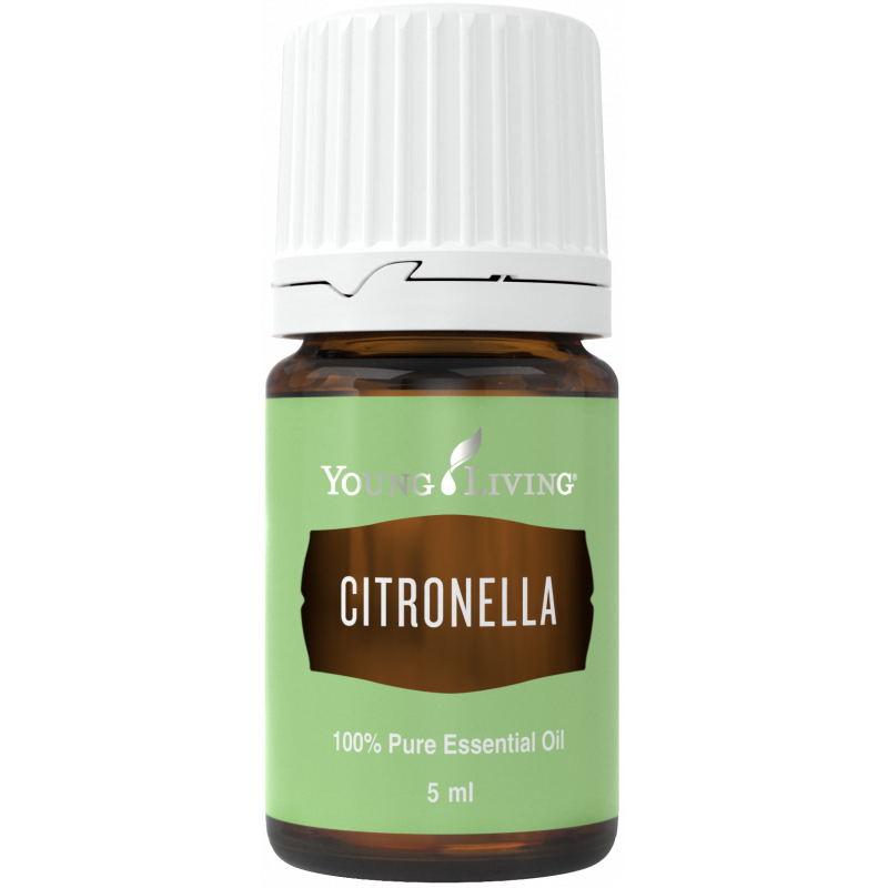 Olejek Citronella Essential Oils 5ml -Young Living Essential Oils
