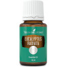 Olejek Eukaliptus Radiata - Eucalyptus Radiata Essential Oil 15ml - Young Living Essential Oils