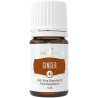 Olejek Imbir Essential Oil 5ml / Ginger Plus - Young Living Essential Oils