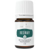 Olejek Rozmaryn Essential Oil 5ml / Rosemary Plus - Young Living Essential Oils