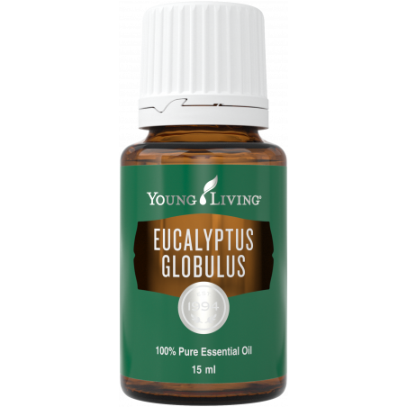 Olejek Eukaliptus Globulus - Eucalyptus Globulus Essential Oil 15ml - Young Living Essential Oils