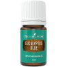 Olejek Eukaliptus Błękitny - Eucalyptus Blue 5ml - Young Living Essential Oils