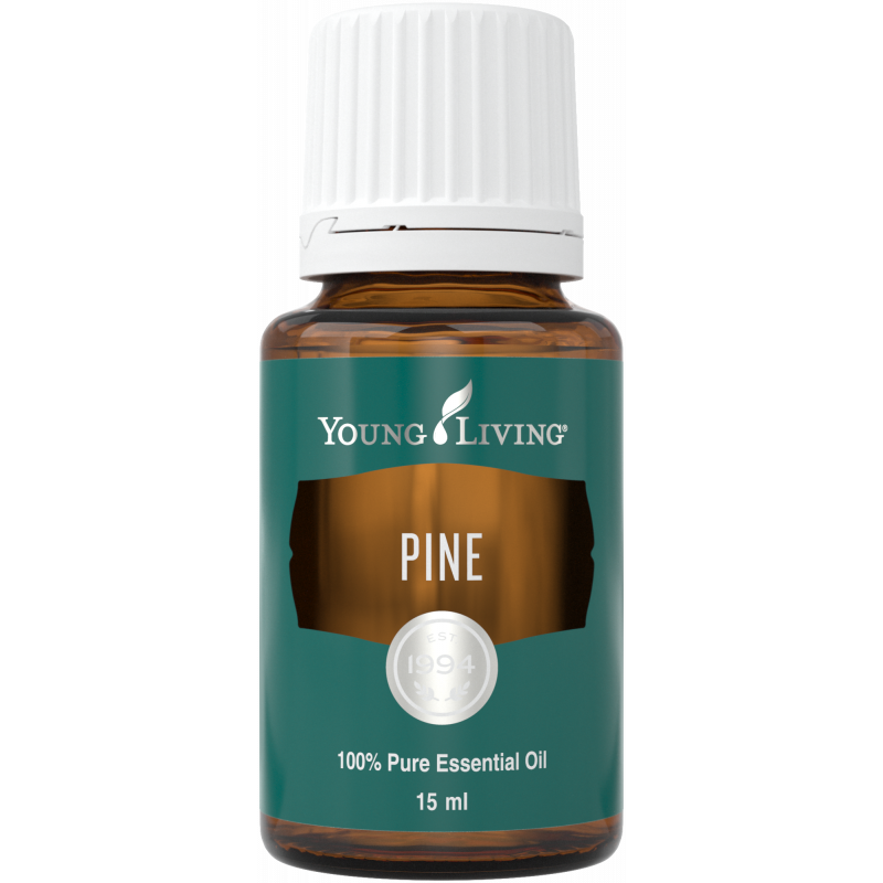 Olejek Sosna - Pine Essential Oil 15 ml - Young Living Essential Oils