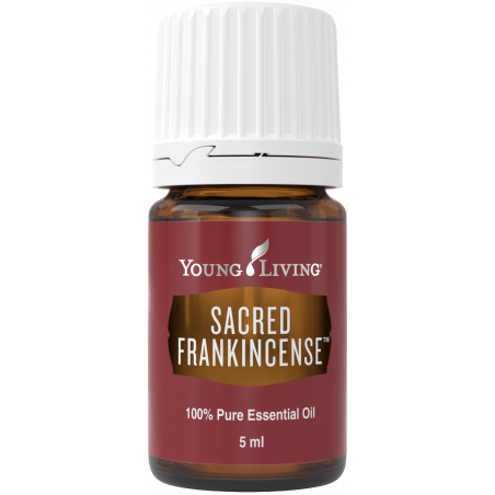 Olejek Sacred Frankincense - Sacred Frankincense Essential Oil 5 - Young Living Essential Oils