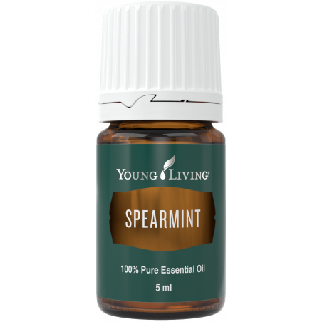 Olejek Miętowy - Spearmint (Mentha spicata) Essential Oil 5 ml - Young Living Essential Oils