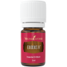 Olejek Exodus II - Exodus II Essential Oils 5ml / Odporność / Vita Flex- Young Living Essential Oils