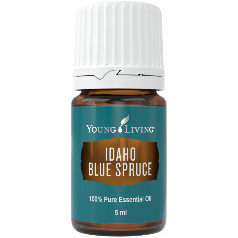 Olejek Świerk Niebieski - Idaho Blue Spruce 5ml - Young Living Essential Oils